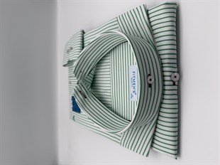 Slim Fit Uzun Kol Premium Çizgili Yaka Düğmeli Hediye Kutulu Erkek Gömlek FS-004440 - Yeşil