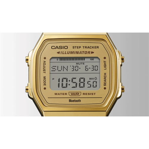 Casio RETRO ABL-100WEG-9ADF Kol Saati