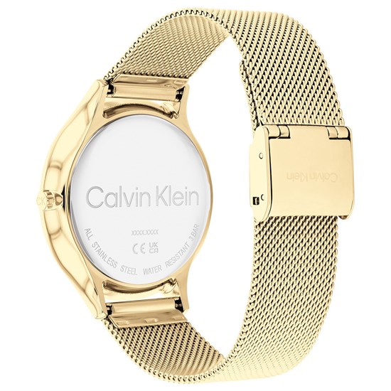 Calvin Klein CK25200003 Kadın Kol Saati