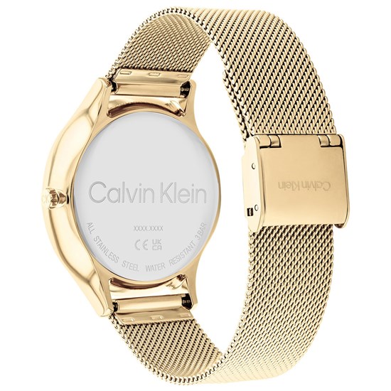 Calvin Klein CK25200103 Kadın Kol Saati
