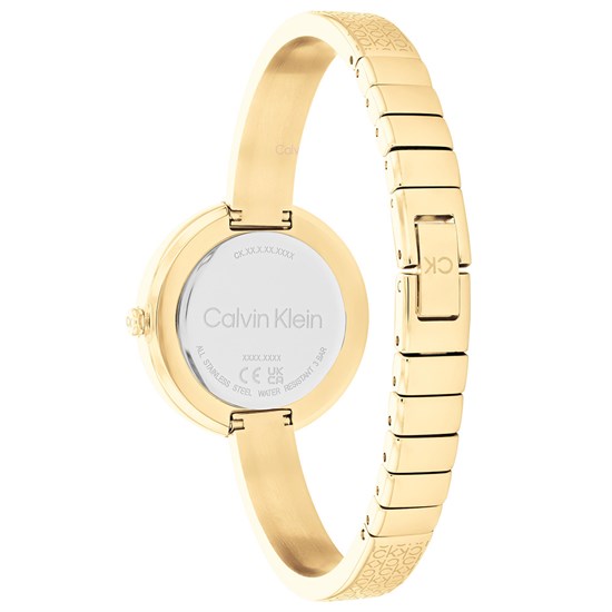 Calvin Klein CK25200182 Kadın Kol Saati
