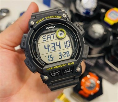 Casio WS-2100H-8AVDF Kol Saati
