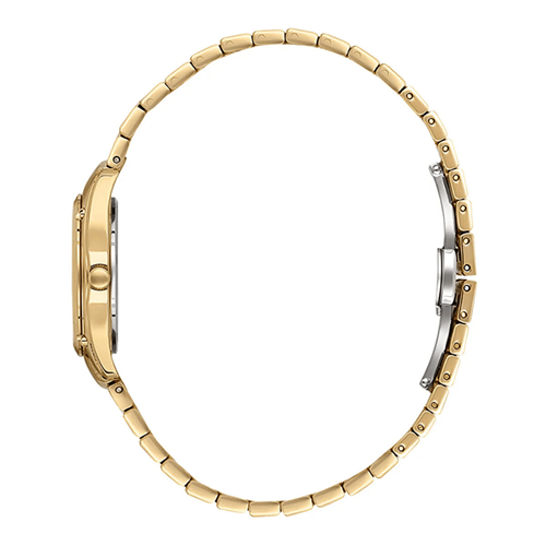 Essence D1200.120 Kadın Kol Saati