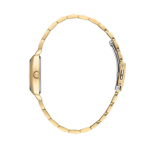 Daniel Klein DK.1.13766.3 Kadın Kol Saati