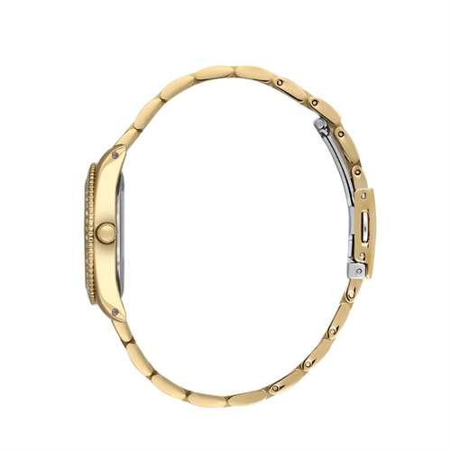 Daniel Klein DK.1.13767.5 Kadın Kol Saati