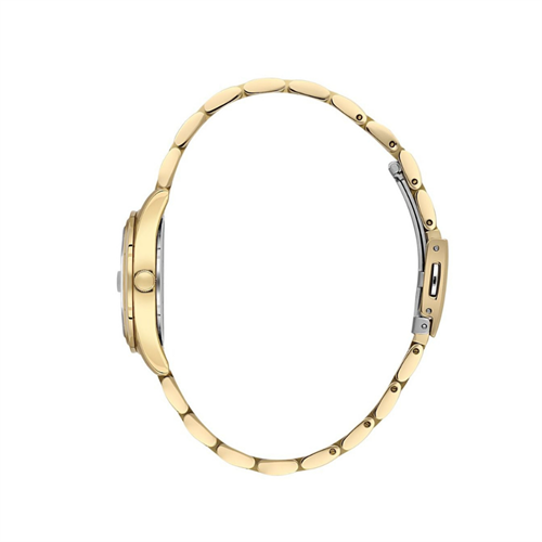 Daniel Klein DKE.1.10718.4 Kadın Kol Saati