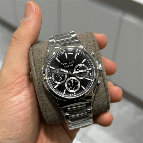 Ferrucci FER.03517M.01 Çelik Kordon Erkek Kol Saati