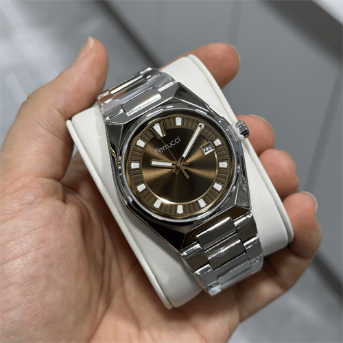 Ferrucci FER.03664M.03 Çelik Kordon Erkek Kol Saati