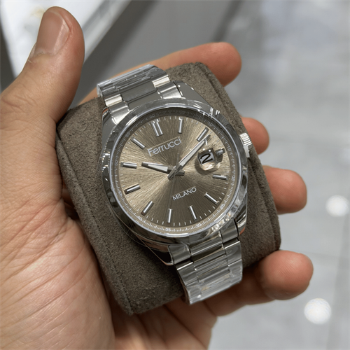 Ferrucci FER.03748M.04 Çelik Kordon Erkek Kol Saati