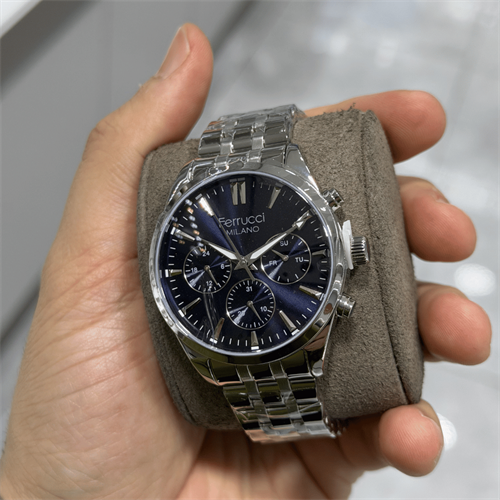 Ferrucci FER.03753M.02 Çelik Kordon Erkek Kol Saati