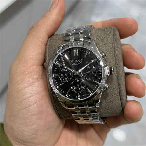 Ferrucci FER.03753M.03 Çelik Kordon Erkek Kol Saati
