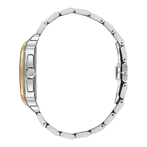 Wainer WA.18090-E Erkek Kol Saati