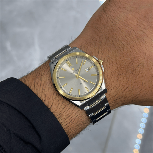 Wainer WA.17700-F Erkek Kol Saati