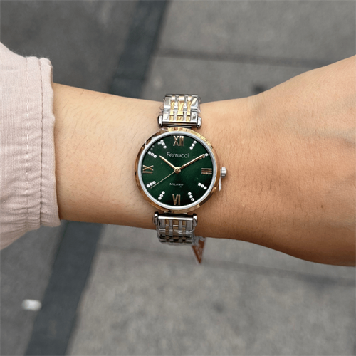 Ferrucci FER.03394M.06 Çelik Kordon Kadın Kol Saati