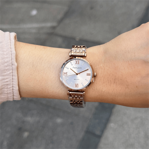 Ferrucci FER.03394M.05 Çelik Kordon Kadın Kol Saati
