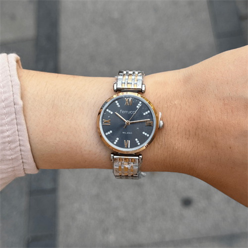 Ferrucci FER.03394M.04 Çelik Kordon Kadın Kol Saati