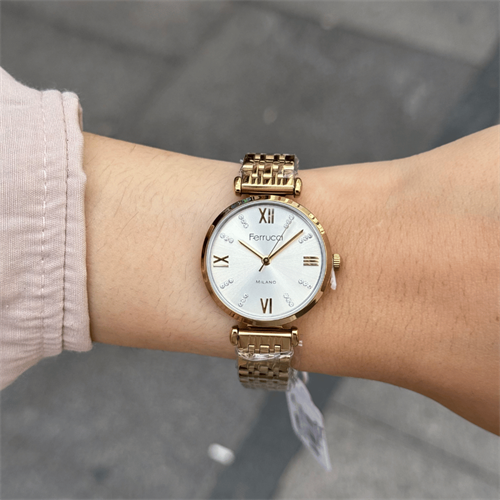 Ferrucci FER.03394M.03 Çelik Kordon Kadın Kol Saati