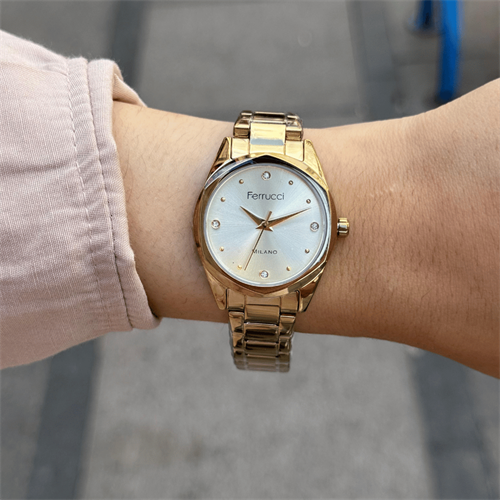 Ferrucci FER.03404M.02 Çelik Kordon Kadın Kol Saati