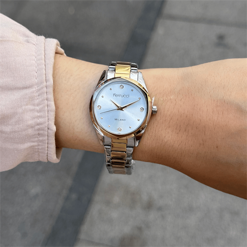 Ferrucci FER.03404M.06 Çelik Kordon Kadın Kol Saati