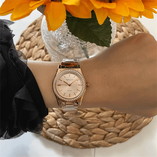 Ferrucci FER.03411M.05 Çelik Kordon Kadın Kol Saati