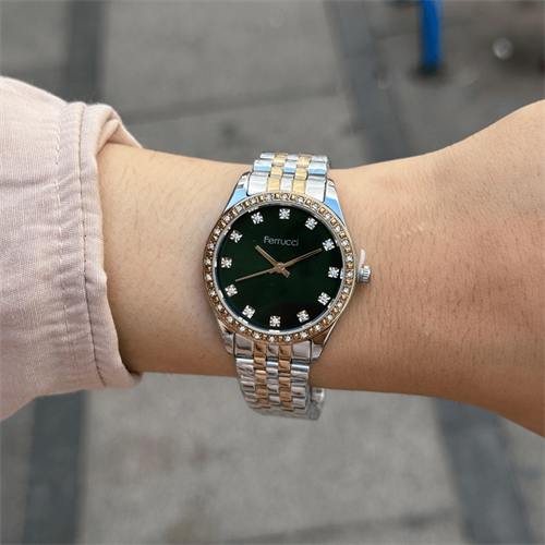 Ferrucci FER.12744M.08 Çelik Kordon Kadın Kol Saati