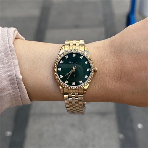 Ferrucci FER.12744M.09 Çelik Kordon Kadın Kol Saati