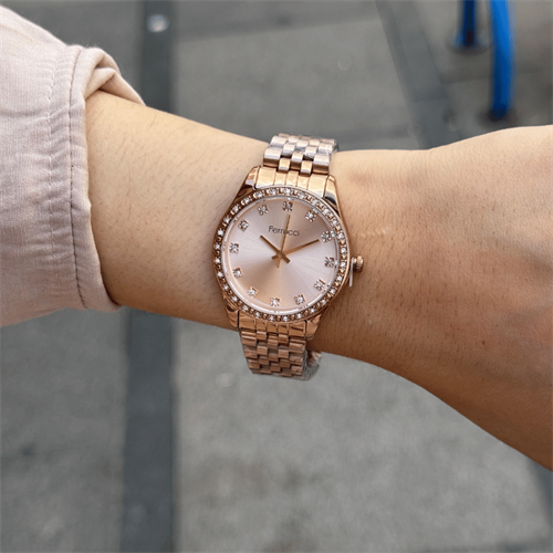 Ferrucci FER.12744M.02 Çelik Kordon Kadın Kol Saati