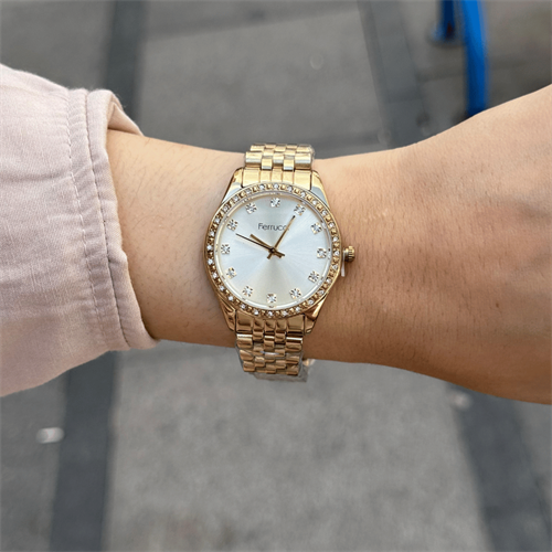 Ferrucci FER.12744M.05 Çelik Kordon Kadın Kol Saati