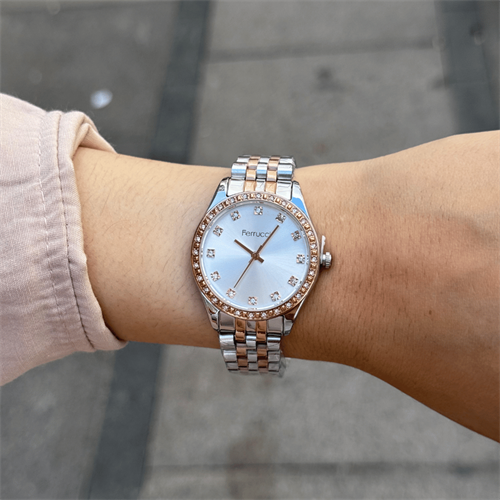 Ferrucci FER.12744M.04 Çelik Kordon Kadın Kol Saati