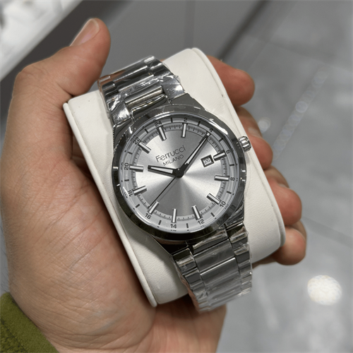 Ferrucci FER.03660M.05 Çelik Kordon Erkek Kol Saati