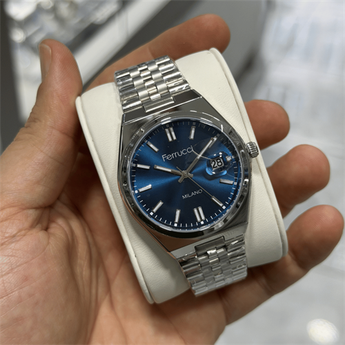 Ferrucci FER.03661M.02 Çelik Kordon Erkek Kol Saati
