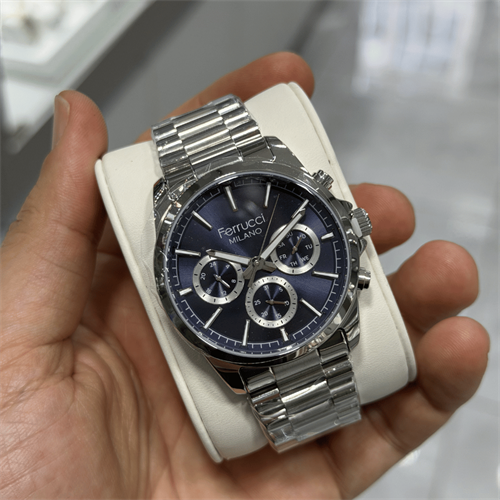 Ferrucci FER.03666M.01 Çelik Kordon Erkek Kol Saati