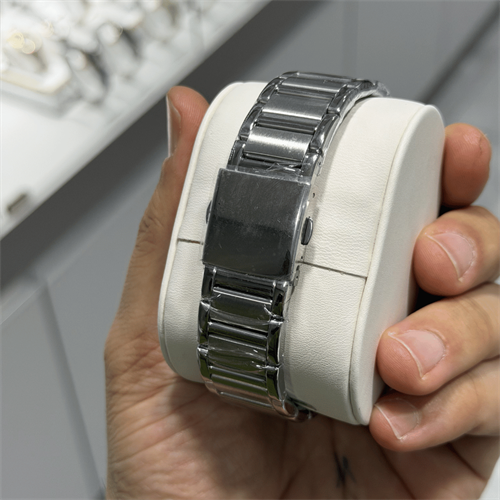 Ferrucci FER.03673M.01 Çelik Kordon Erkek Kol Saati