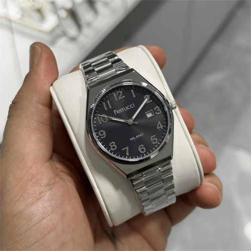 Ferrucci FER.03732M.01 Çelik Kordon Erkek Kol Saati