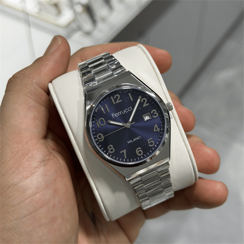 Ferrucci FER.03732M.02 Çelik Kordon Erkek Kol Saati