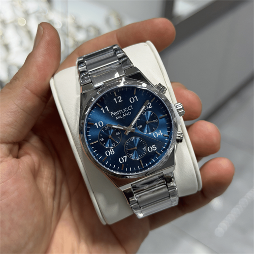 Ferrucci FER.03742M.02 Çelik Kordon Erkek Kol Saati