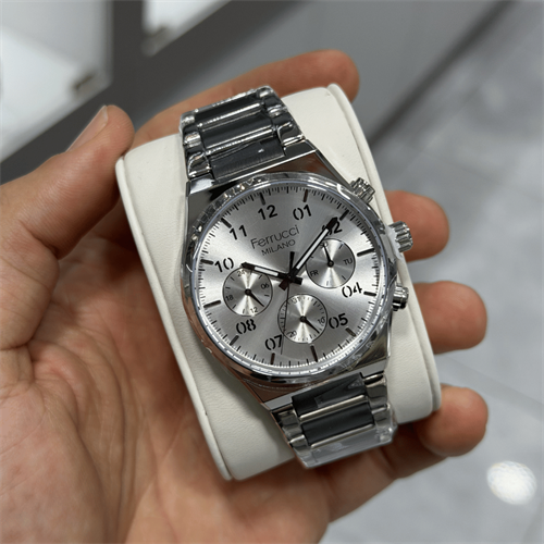 Ferrucci FER.03742M.04 Çelik Kordon Erkek Kol Saati