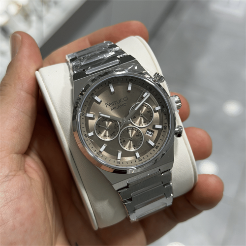 Ferrucci FER.03652M.03 Çelik Kordon Erkek Kol Saati