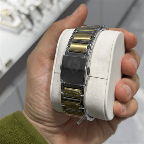 Ferrucci FER.03673M.03 Çelik Kordon Erkek Kol Saati