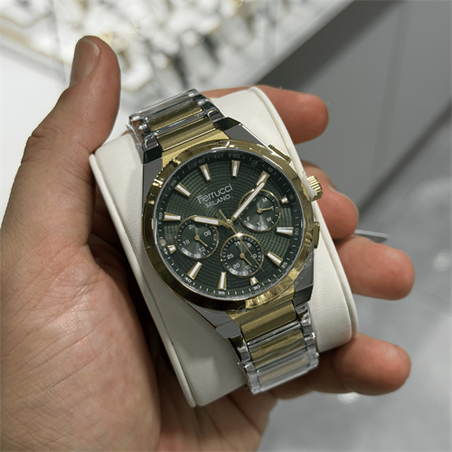 Ferrucci FER.03673M.03 Çelik Kordon Erkek Kol Saati