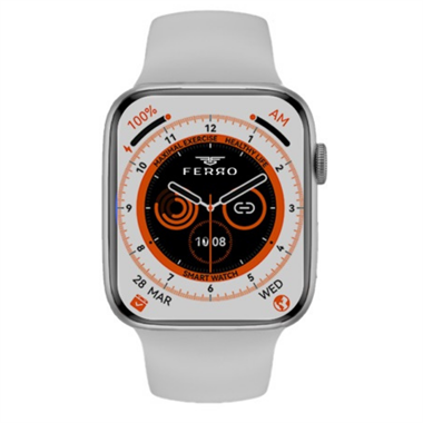 Ferro FSW1108Pro-AG Silver Case Akıllı Kol Saati