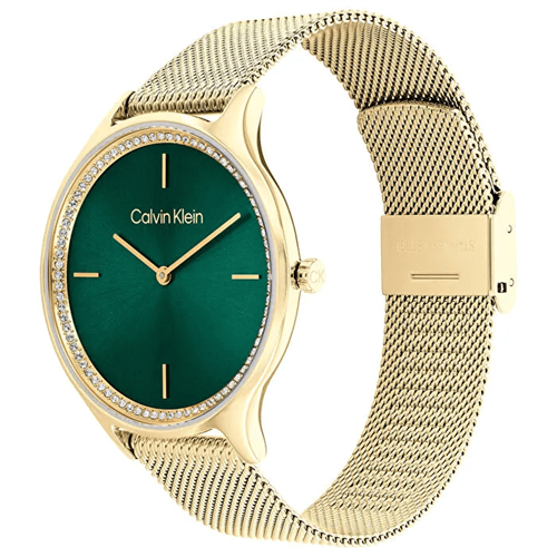 Calvin Klein CK25100005 Kadın Kol Saati