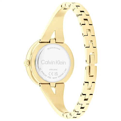 Calvin Klein CK25100027 Kadın Kol Saati