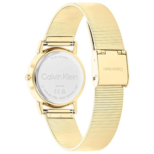 Calvin Klein CK25100035 Kadın Kol Saati