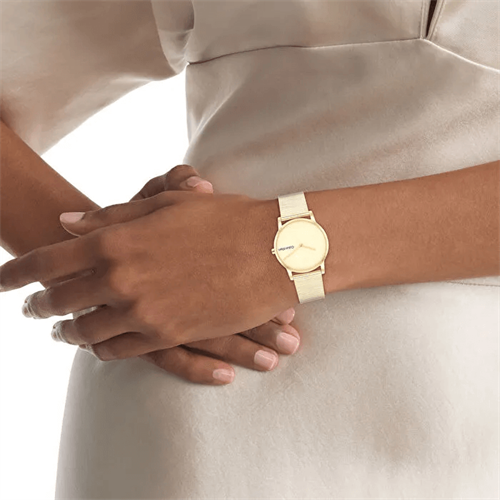 Calvin Klein CK25100035 Kadın Kol Saati