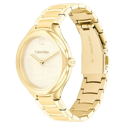 Calvin Klein CK25100048 Kadın Kol Saati