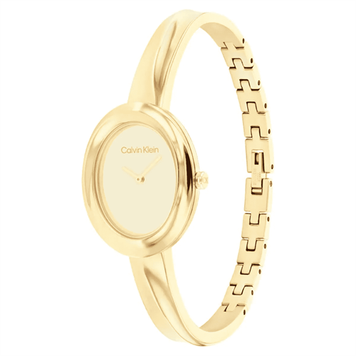 Calvin Klein CK25100056 Kadın Kol Saati