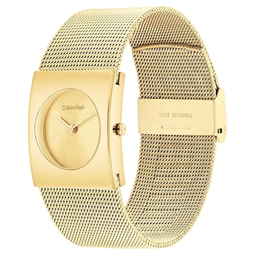 Calvin Klein CK25100062 Kadın Kol Saati