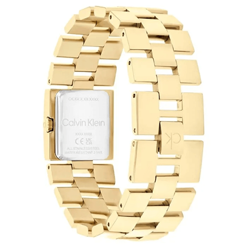 Calvin Klein CK25100089 Kadın Kol Saati