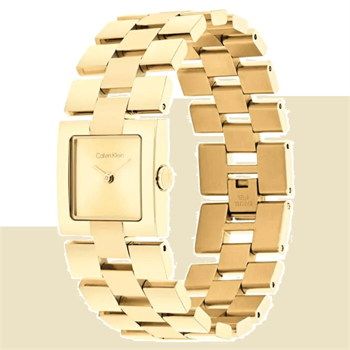 Calvin Klein CK25100089 Kadın Kol Saati